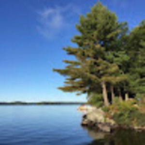 Meet your Posher, Bonnie